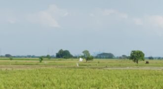 Tanah sawah (produktif)