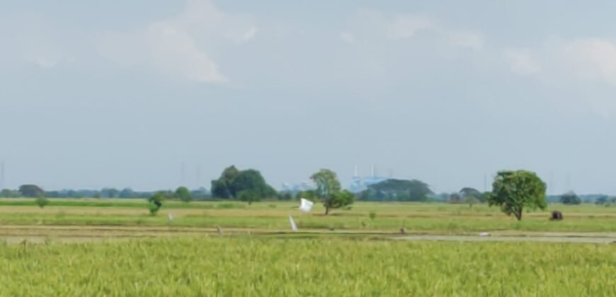 Tanah sawah (produktif)