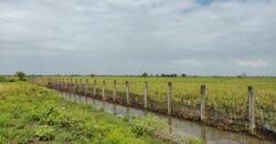 Tanah sawah (produktif)