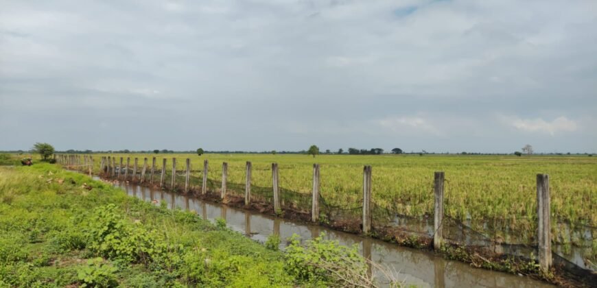 Tanah sawah (produktif)